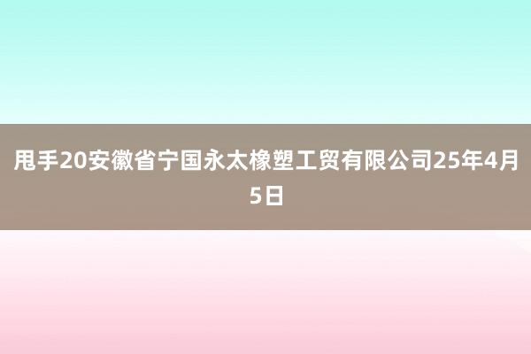 甩手20安徽省宁国永太橡塑工贸有限公司25年4月5日